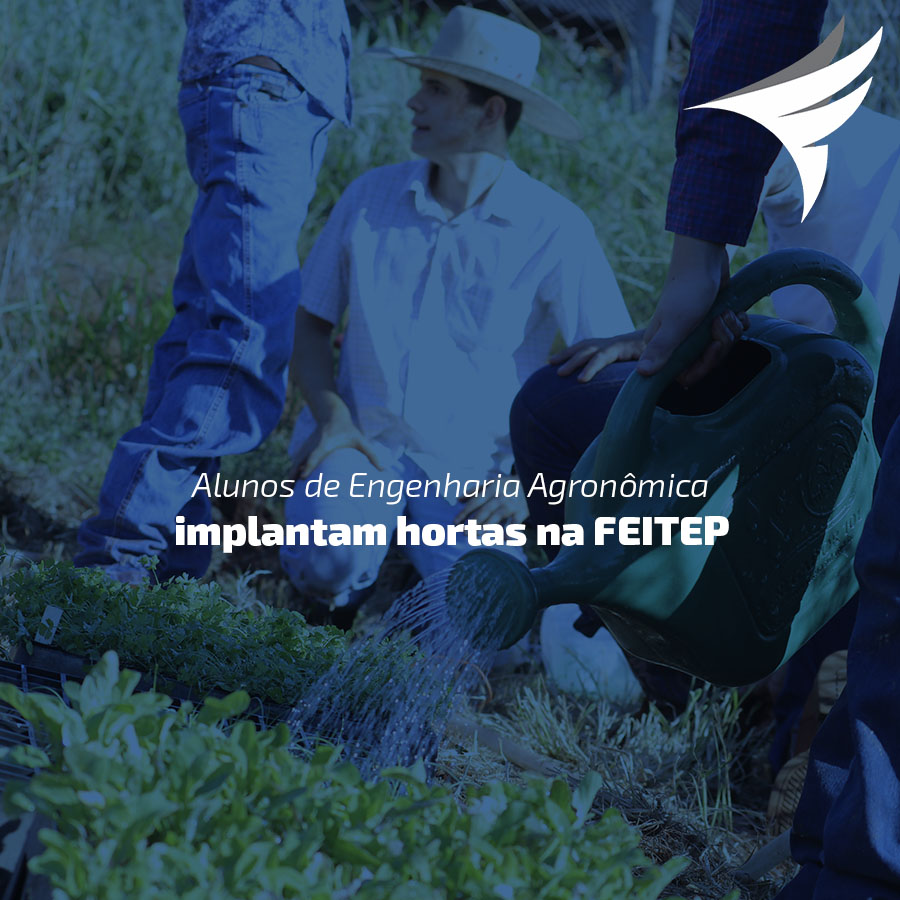 Alunos de Engenharia Agronmica implantam hortas na FEITEP