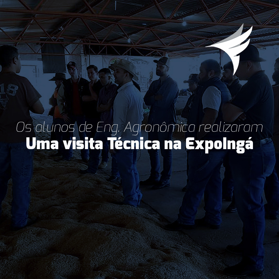 Visita Tcnica na ExpoIng