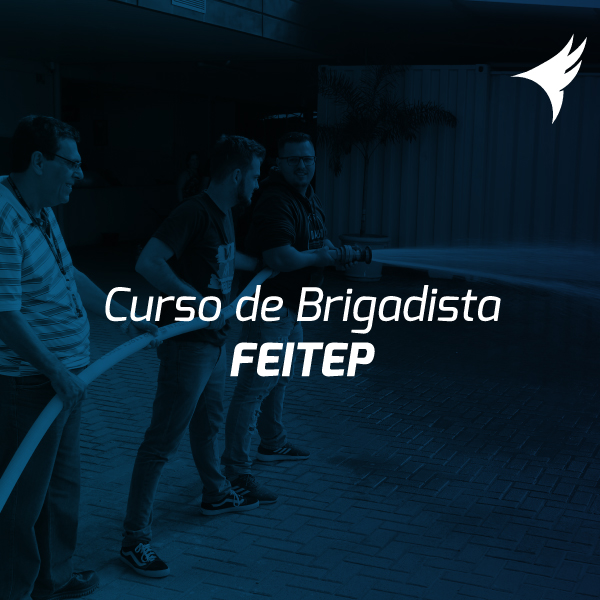 Curso de Brigadista FEITEP